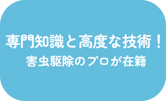 専門知識と高度な技術！害虫駆除のプロが在籍