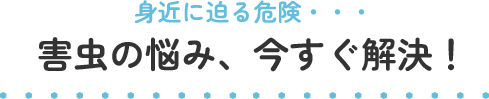 身近に迫る危険・・・害虫の悩み、今すぐ解決！