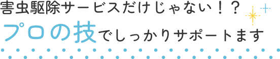 害虫駆除サービスだけじゃない！？プロの技でしっかりサポートます